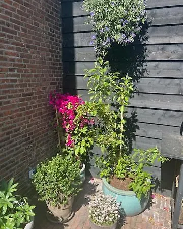 Koetshuis Aan Het Water 3 Bedroom