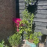 Koetshuis Aan Het Water 3 Bedroom