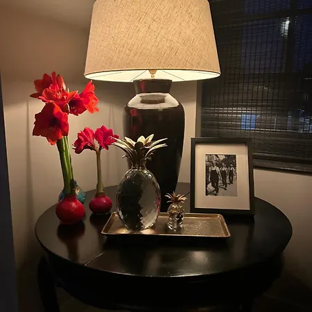 Koetshuis Aan Het Water 3 Bedroom Voorburg