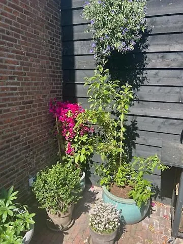 Koetshuis Aan Het Water 3 Bedroom