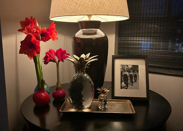 Koetshuis Aan Het Water 3 Bedroom Voorburg